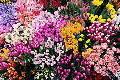 《赛博朋克2077：往日之影》新截图 夜晚光照效果惊艳